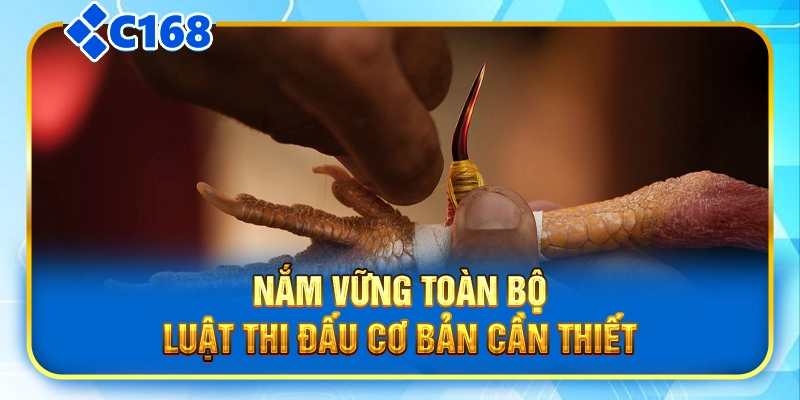 Nắm vững toàn bộ luật thi đấu cơ bản cần thiết