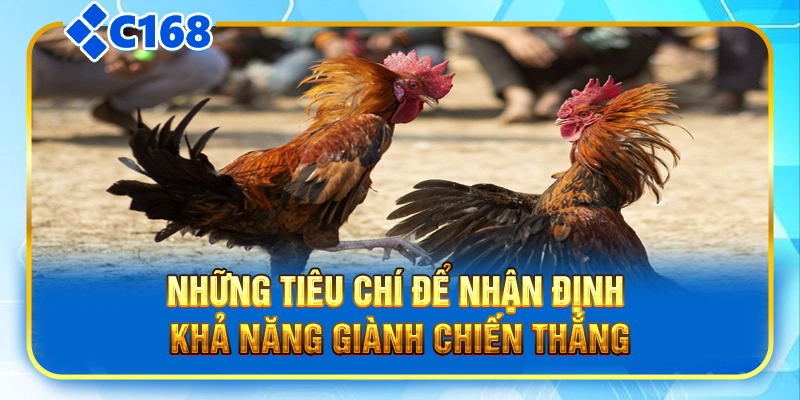Những tiêu chí để nhận định khả năng giành chiến thắng