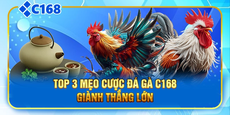 Top 3 mẹo cược đá gà C168 giành thắng lớn